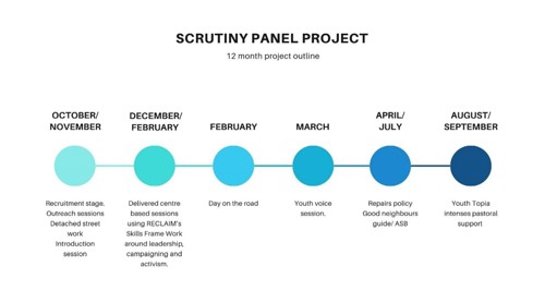 Youth Scrutiny Panel Project timeline