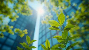 A low-angle shot of a block of flats on a sunny day. The sun shines through leaves that frame the camera.